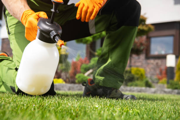 Best Best Pest Control Companies  in Desert Hills, AZ