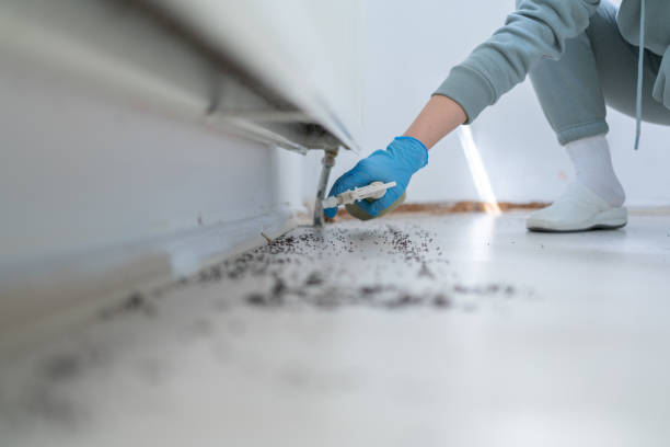 Best Pest Inspection Near Me  in Desert Hills, AZ